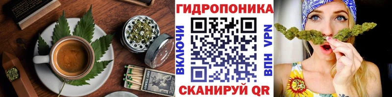 Купить закладки Новое Девяткино Cannafood конопля