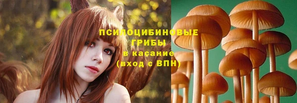 хмурый Алексин