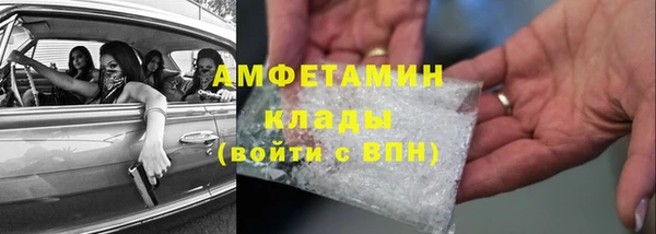 хмурый Алексин