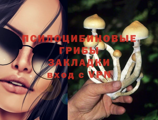 соль курить ск Алексеевка