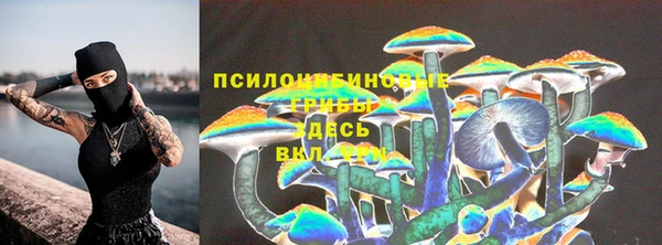 соль курить ск Алексеевка