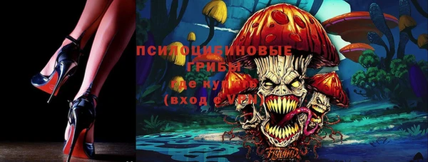 хмурый Алексин
